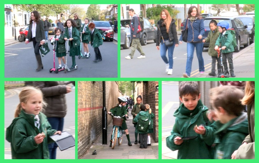 Car Free 4 photos.jpg