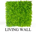 Living Wall