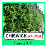 chiswick latest june