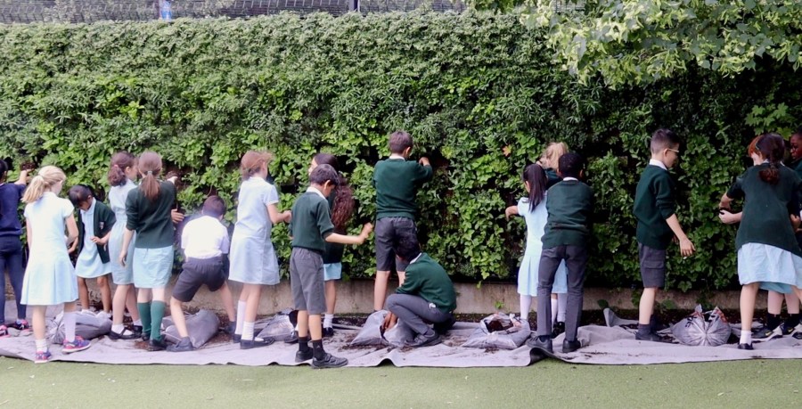 Screen Shot 2019-06-21 at 17.51.44